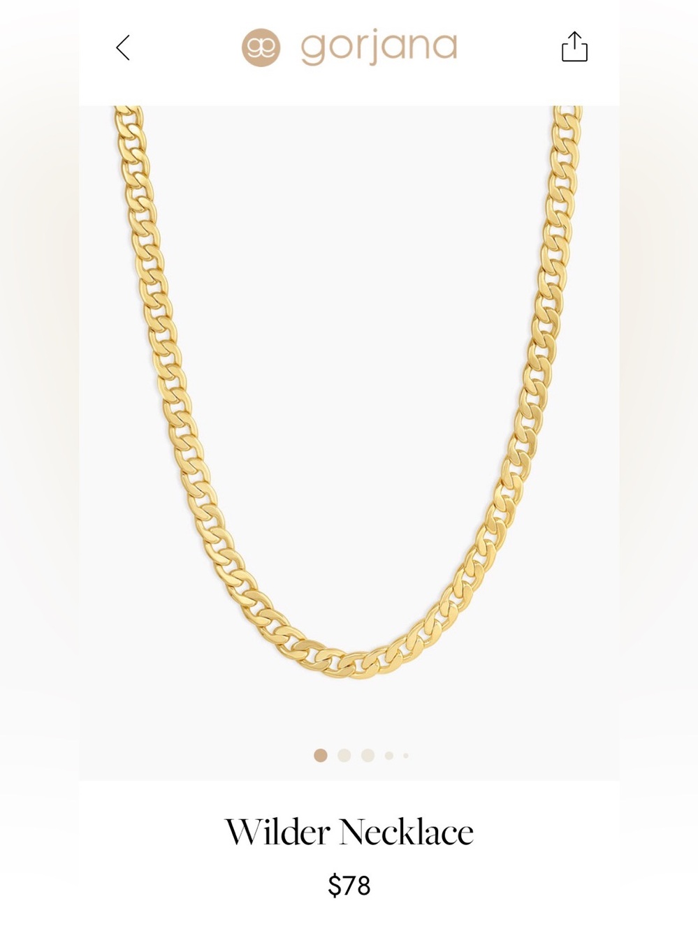 NWOT Gorjana Wilder Chain Necklace